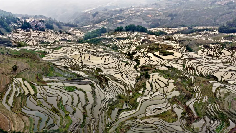 华中地区自动化设备减速机与联轴器选型指南及常见误区解析